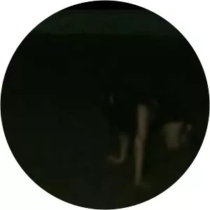 Night Tongue - Musical artist