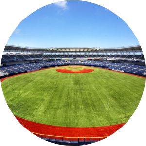 Niigata Prefectural Baseball Stadium