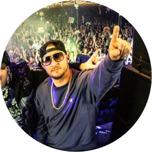 david schuler nikal fieldz - Musical artist