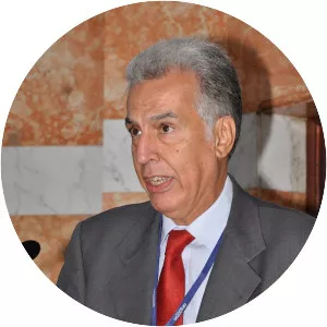 Nikiforos Diamandouros