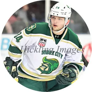 Nikita Krivokrasov - Ice hockey player