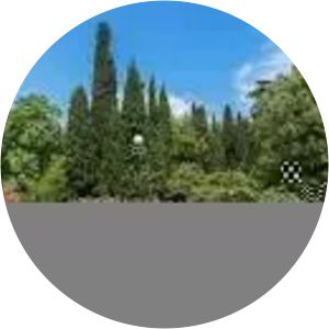 Nikitsky Botanical Gardens - 