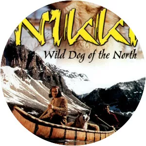 Nikki, Wild Dog of the North