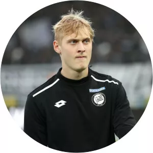 Niklas Geyrhofer - Austrian footballer