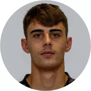 Niklas Hedl - Goalkeeper