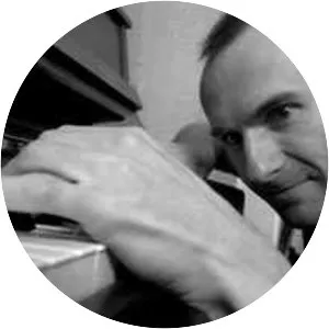 Niko Meinhold Musician