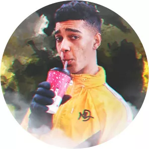 Niko Omilana - YouTuber