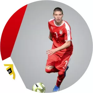 Nikola Terzić - Serbian footballer
