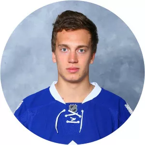 Nikolai Skladnichenko - Russian ice hockey player