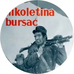 Nikoletina Bursac