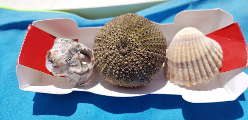 Nilcamping - Restaurant