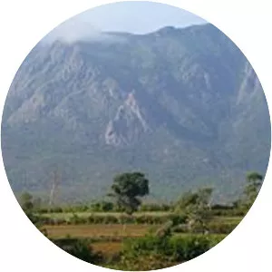 Nilgiri Mountains