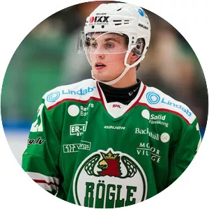 Nils Höglander - Ice hockey winger