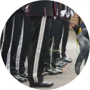 Nils Olav - King penguin