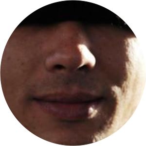 Nils Salvatori - Renato Salvatori's son