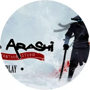 Ninja Arashi - Videogame