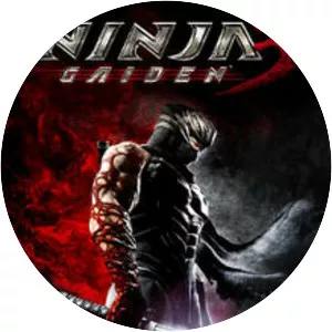 Ninja Gaiden 3 - Video game