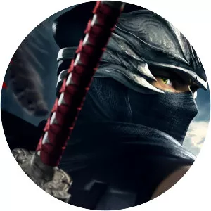 Ninja Gaiden - Video game series