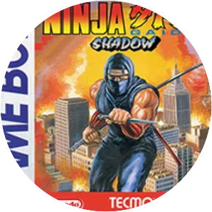 Ninja Gaiden Shadow