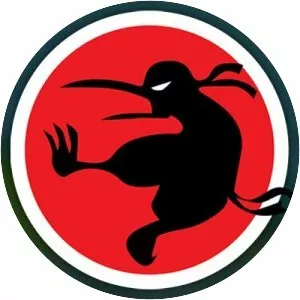 Ninja Kiwi - Video game developer