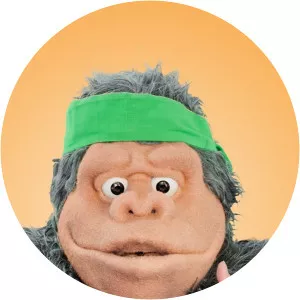 Ninja PopSince 2015