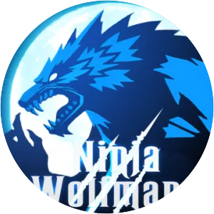 Ninja Wolfman-Best Fighter - Video game