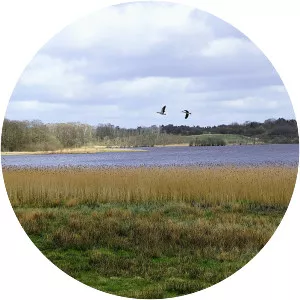 Nipgård Sø - Lake in Denmark