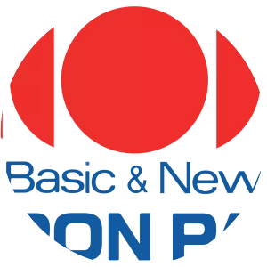 Nippon Paint - Company