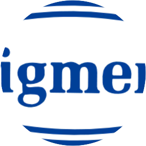 Nippon Pigment Company Limited