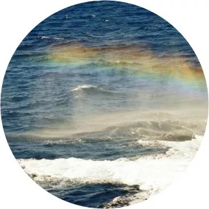 Nizar - Musical artist