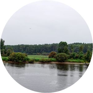 Nizhnesvirsky Nature Reserve