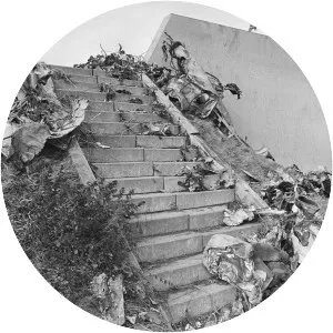 NLM CityHopper Flight 431