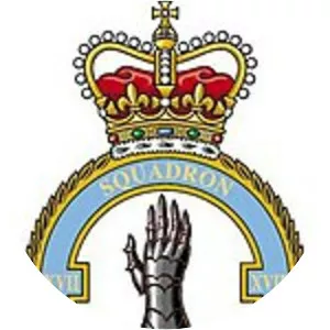No. 17 Squadron RAF