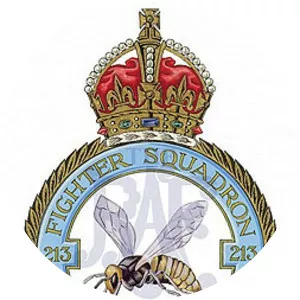 No. 213 Squadron RAF - 