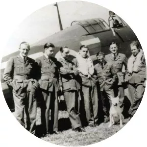 No. 229 Squadron RAF