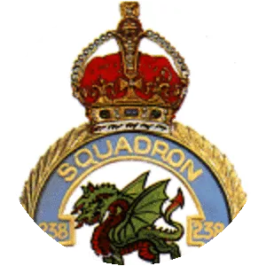 No. 238 Squadron RAF