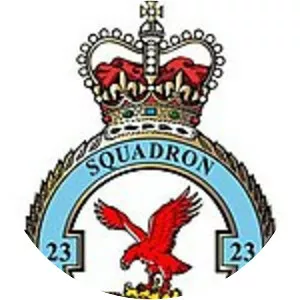 No. 23 Squadron RAF