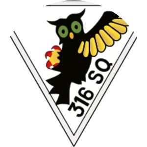 No. 316 Polish Fighter Squadron