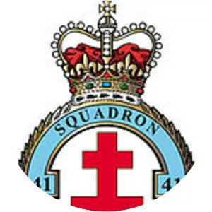 No. 41 Squadron RAF
