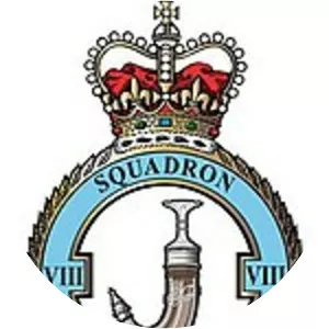 No. 8 Squadron RAF