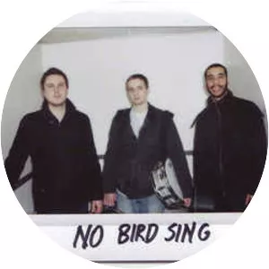 No Bird Sing