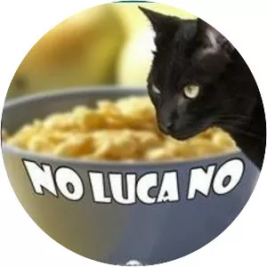 No Luca No