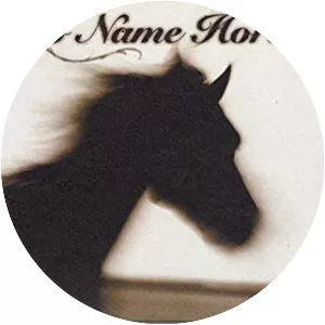 No Name Horses