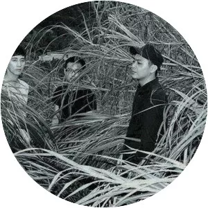 No Party for Cao Dong - Rock band