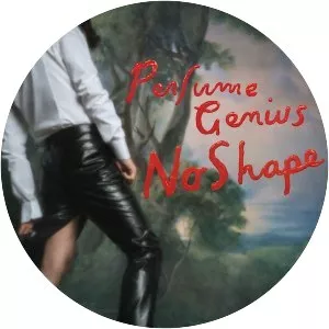 No Shape - Studio album by Perfume Genius