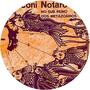 No Sub Reino dos Metazoarios - Album by Marconi Notaro