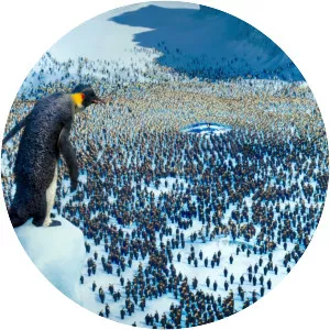 Noah the Elder - Fictional character