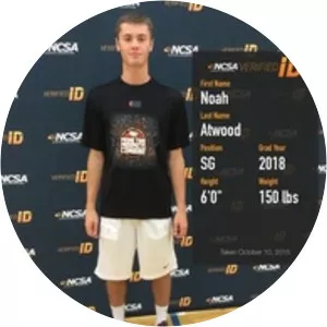 Noah Vaughn Atwood - Roman Atwood's son