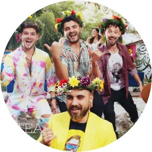 Noaptea Tarziu, Tostogan's - Musical artist