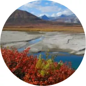 Noatak River - Stream in Alaska